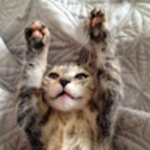 Meet your Posher, Jamie